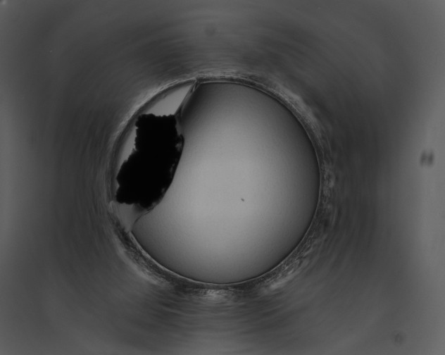 X0000095520060200801041232