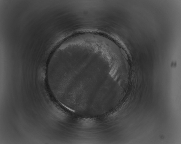 X0000095520063200801041232