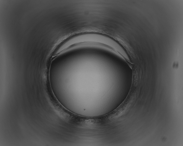 X0000095520064200801041232