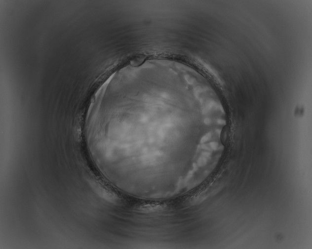 X0000095520065200801041232