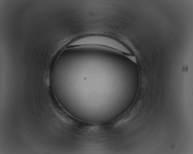 X0000095520068200801041232