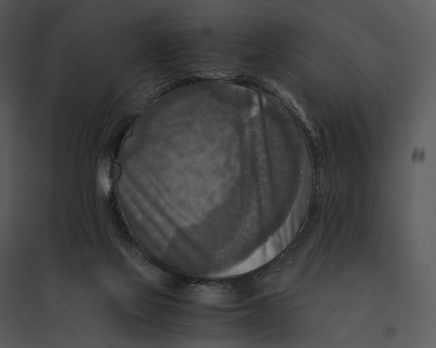 X0000095520069200801041232