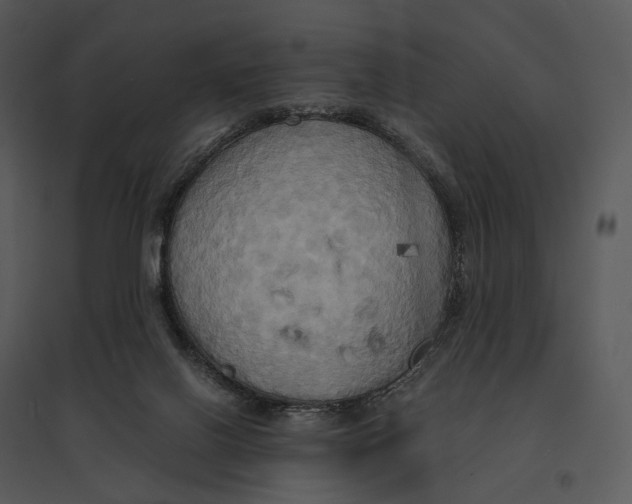 X0000095520070200801041232