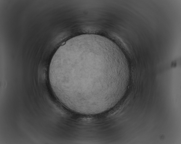 X0000095520071200801041232