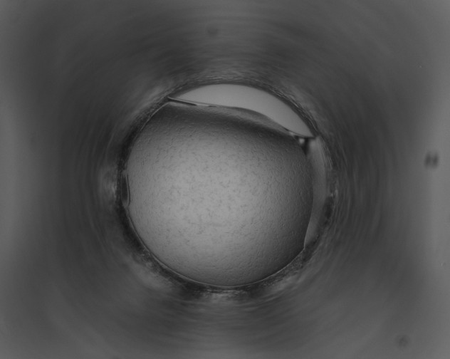 X0000095520072200801041232