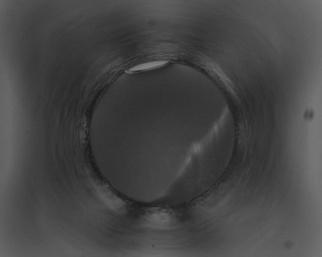 X0000095520073200801041232