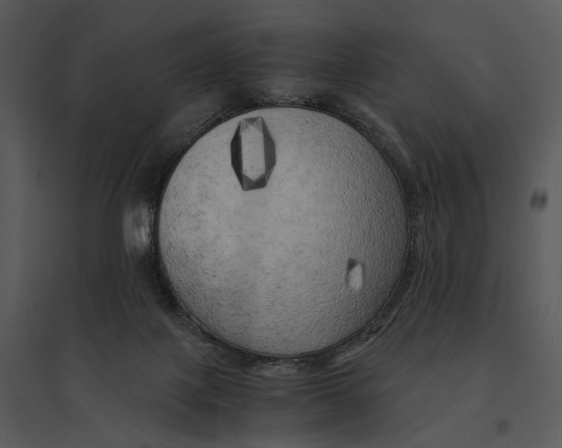 X0000095520075200801041232