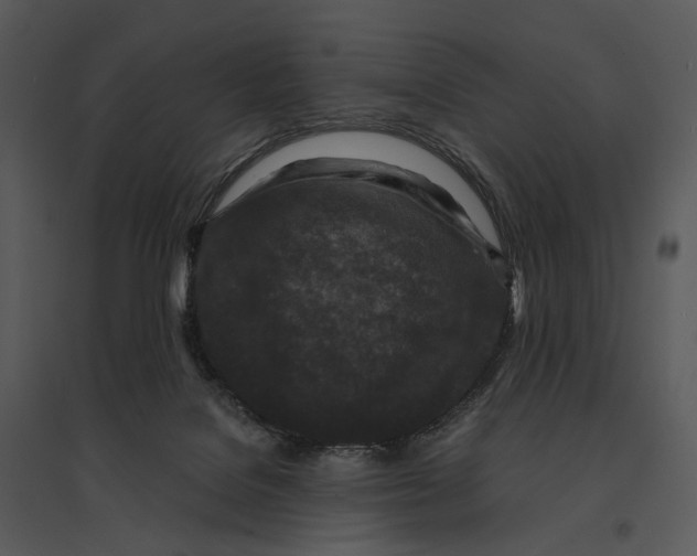 X0000095520076200801041232