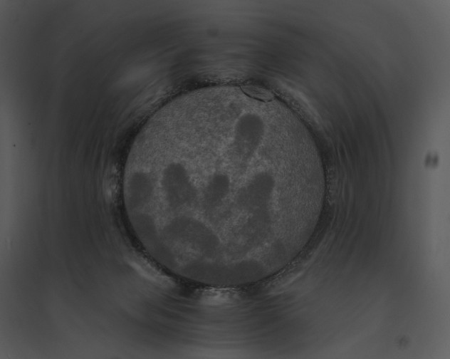 X0000095520077200801041232