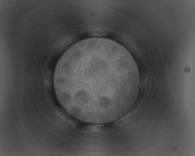 X0000095520078200801041232