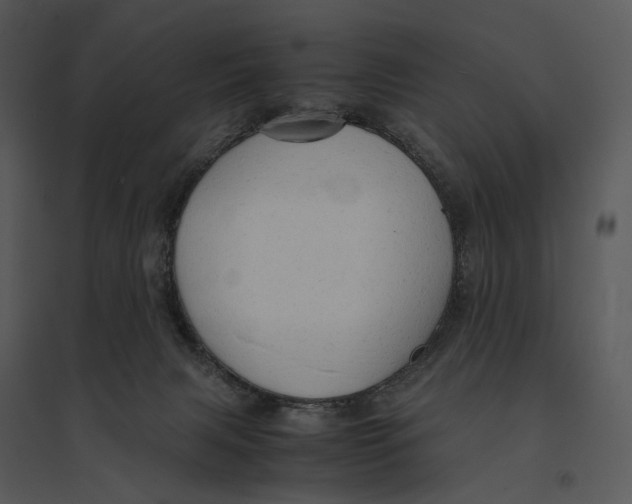 X0000095520079200801041232