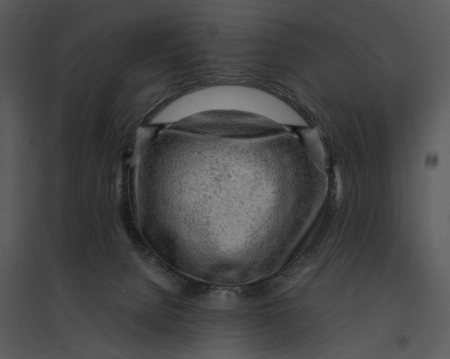 X0000095520080200801041232