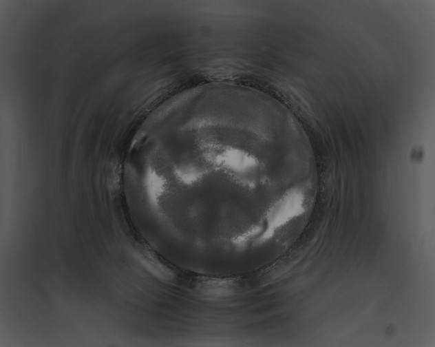 X0000095520081200801041232