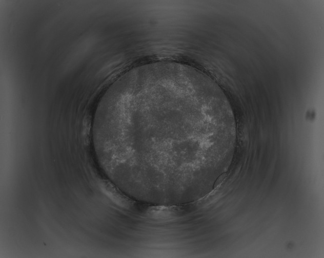 X0000095520082200801041232