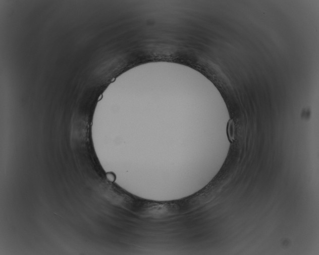 X0000095520083200801041232