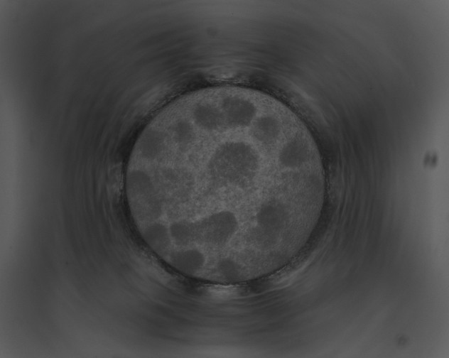 X0000095520085200801041232