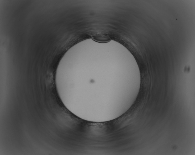 X0000095520087200801041232