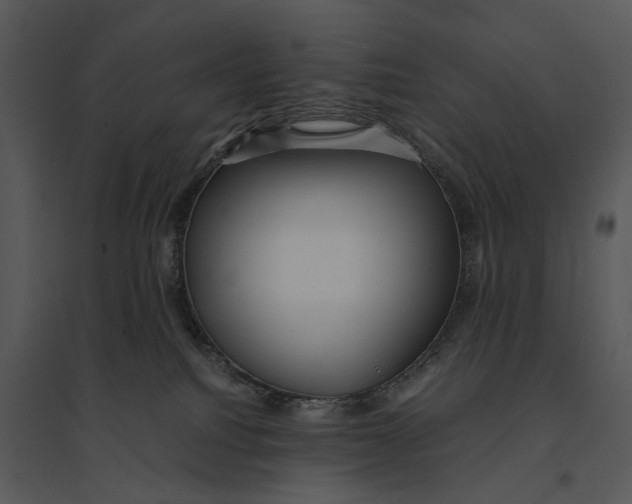 X0000095520088200801041233