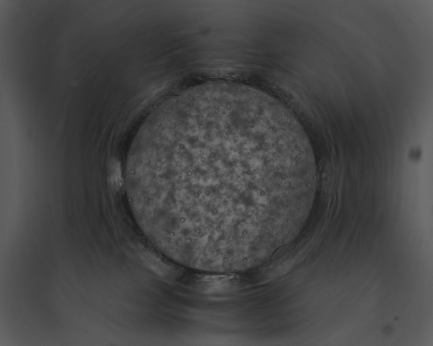 X0000095520089200801041233