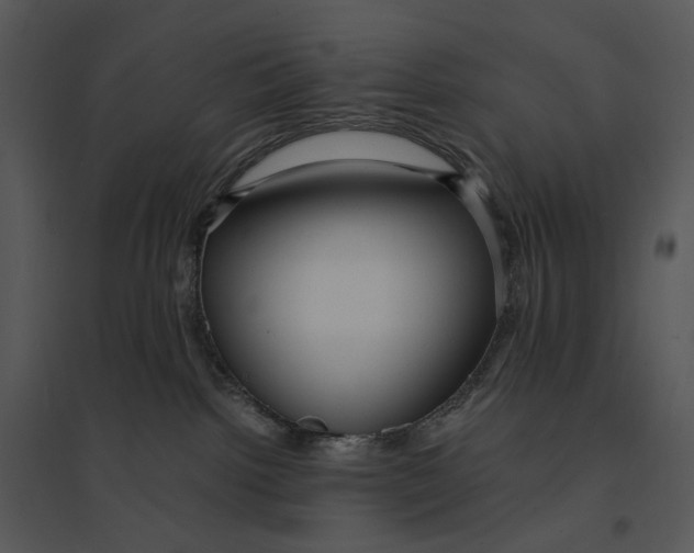 X0000095520092200801041233