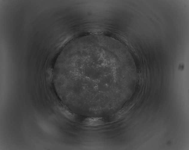 X0000095520093200801041233