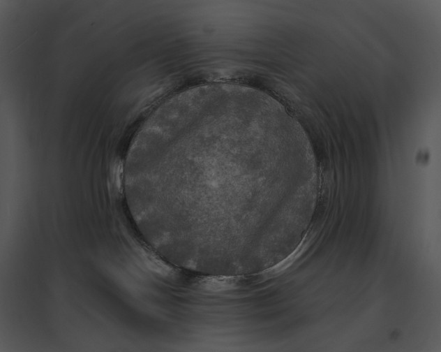 X0000095520094200801041233