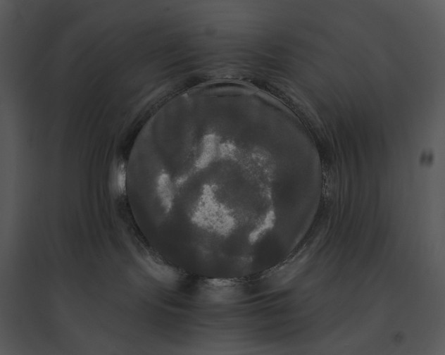 X0000095520095200801041233