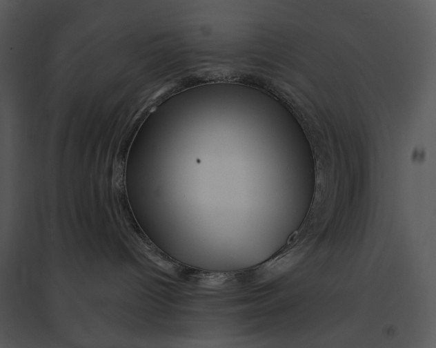 X0000095520096200801041233