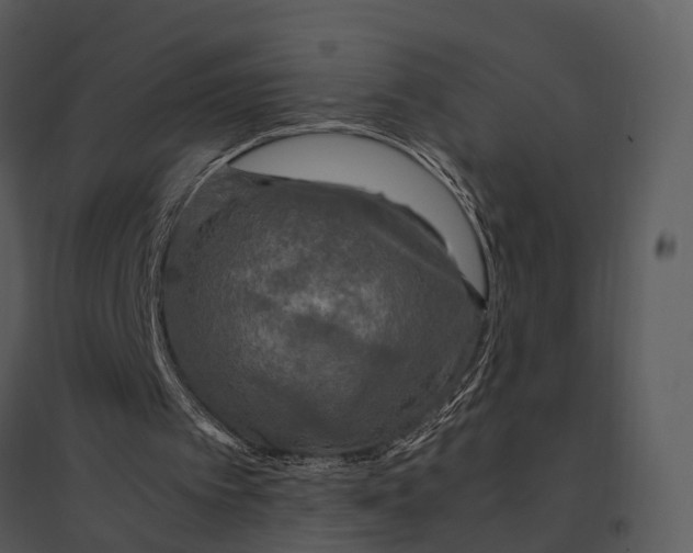 X0000095520097200801041232