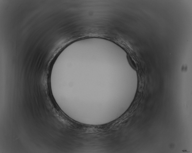 X0000095520098200801041232