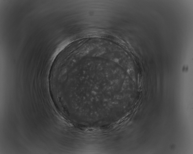 X0000095520099200801041232