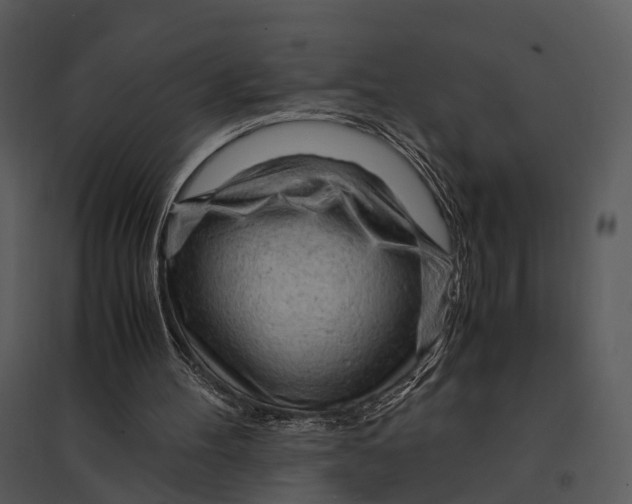 X0000095520100200801041232