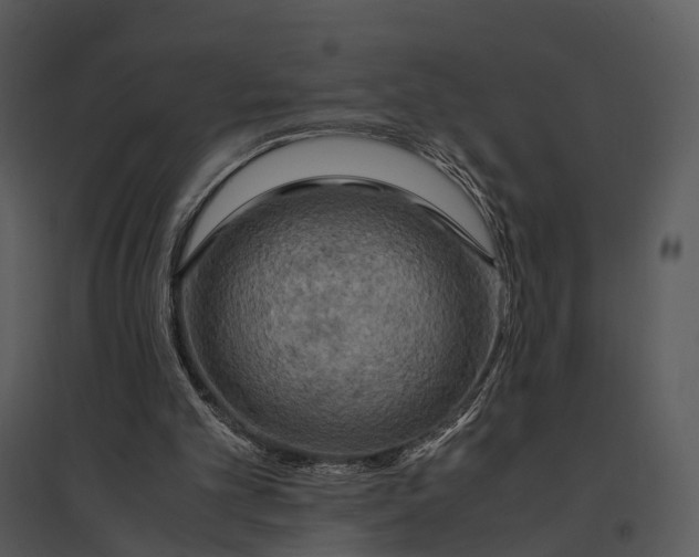 X0000095520101200801041232