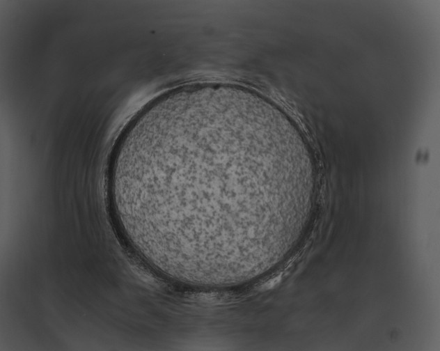 X0000095520103200801041232