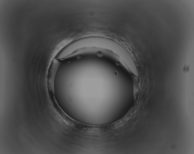 X0000095520104200801041232