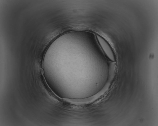 X0000095520105200801041232