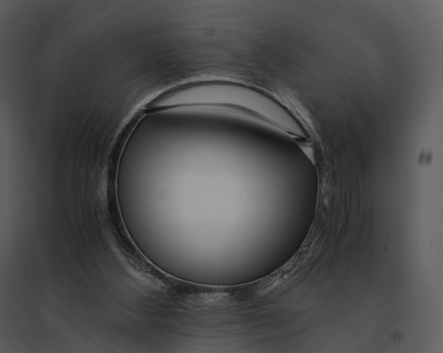 X0000095520108200801041232