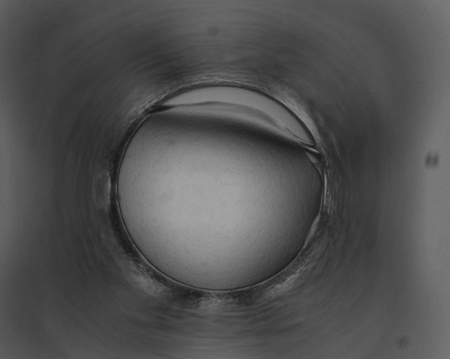 X0000095520109200801041232