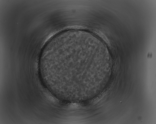 X0000095520111200801041232