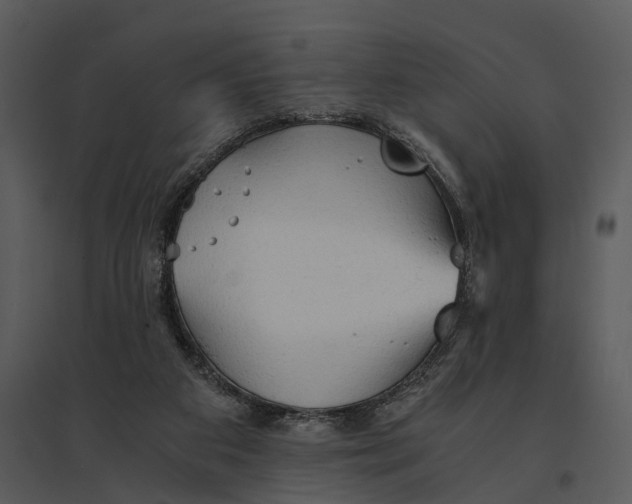 X0000095520113200801041232