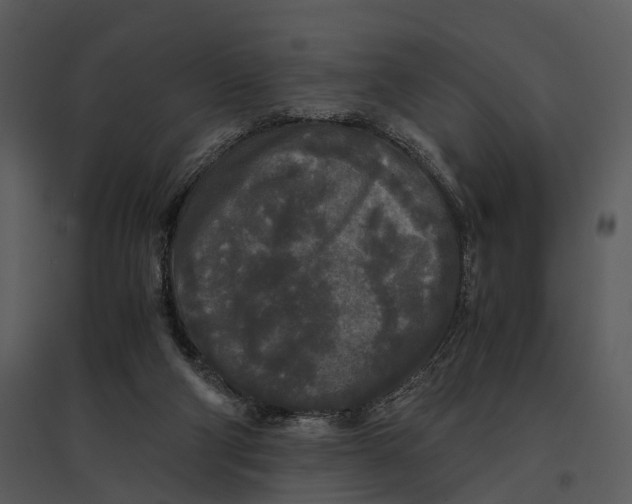 X0000095520114200801041232