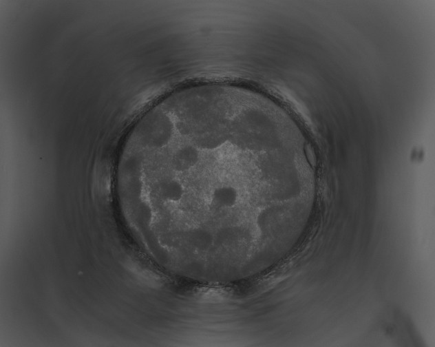 X0000095520115200801041232