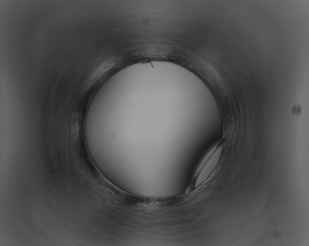 X0000095520120200801041232