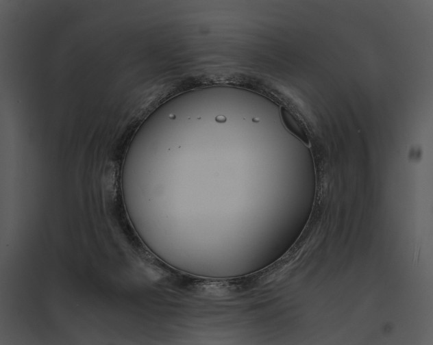 X0000095520121200801041232