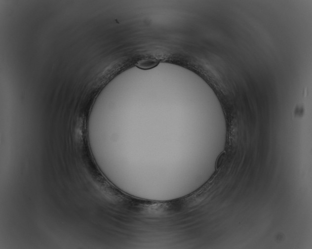 X0000095520122200801041232