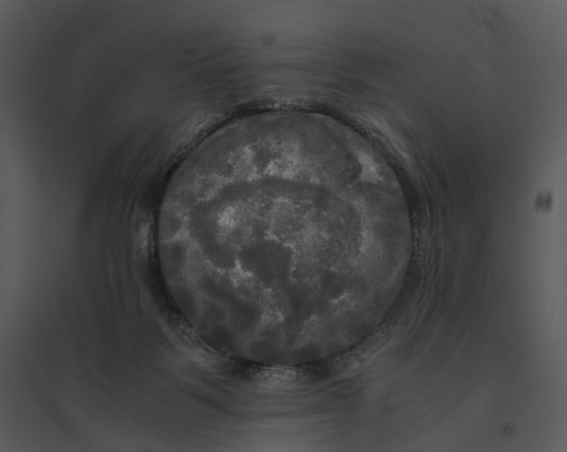 X0000095520123200801041232