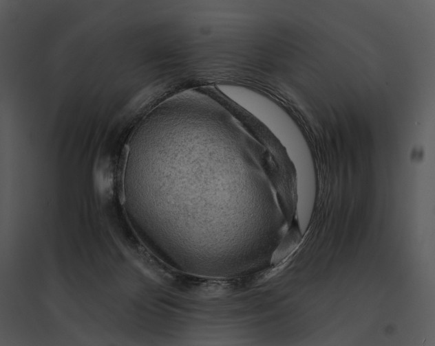 X0000095520124200801041232