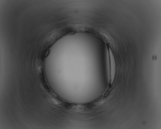 X0000095520125200801041232