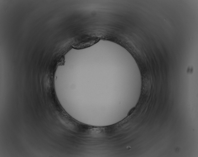 X0000095520126200801041232