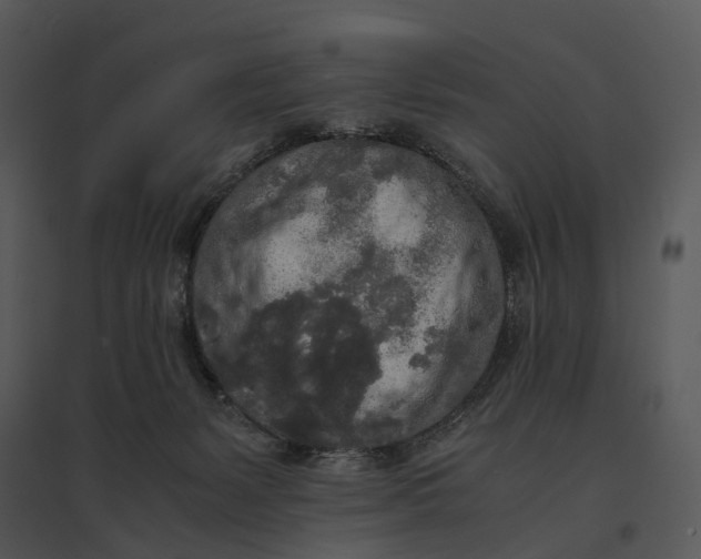 X0000095520127200801041232